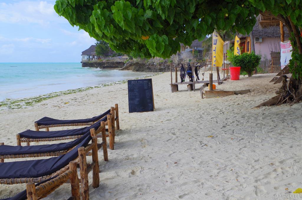 Kimte Beach Lodge Jambiani  Ngoại thất bức ảnh