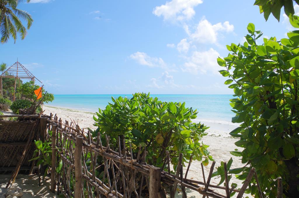 Kimte Beach Lodge Jambiani  Ngoại thất bức ảnh