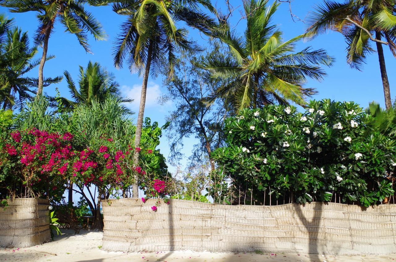 Kimte Beach Lodge Jambiani  Ngoại thất bức ảnh