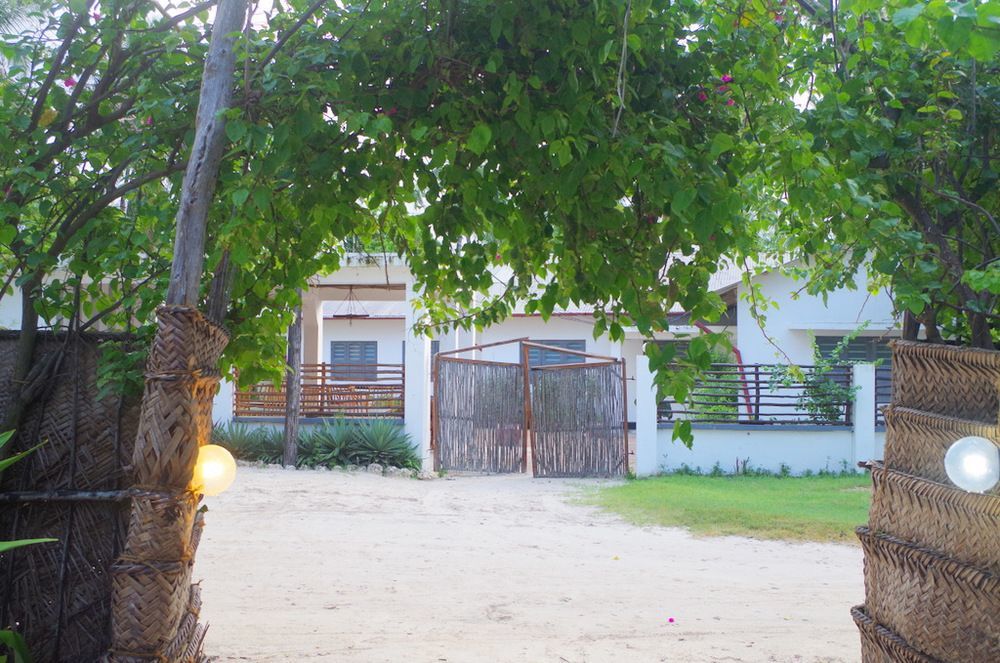 Kimte Beach Lodge Jambiani  Ngoại thất bức ảnh